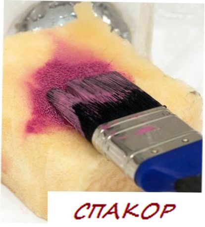 Чем отмыть кисть Чем отмыть кисть