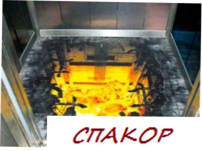 Фото 3D полов, выборка 7 (10 фото)