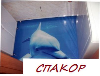 Фото 3D полов, выборка 7 (10 фото)