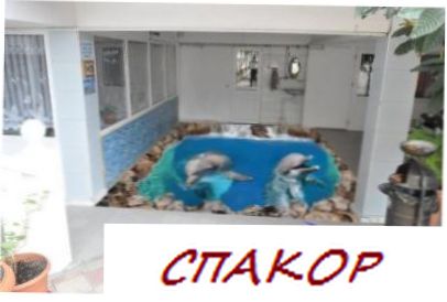 Фото 3D полов, выборка 7 (10 фото)