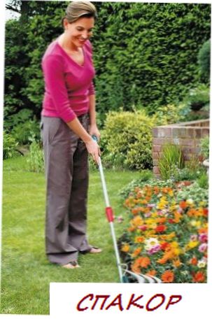 Кусторез Кусторез