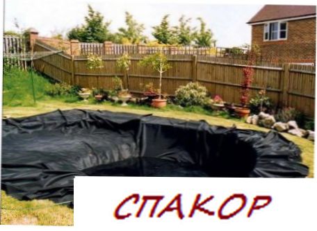 Водоем на участке Водоем на участке