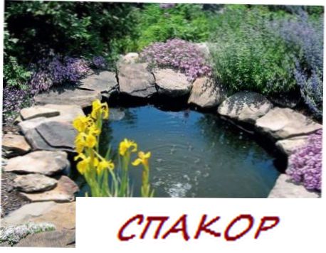 Водоем на участке Водоем на участке